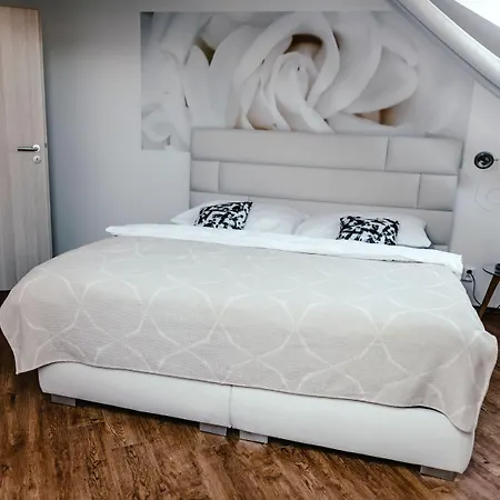 Zelny Trh 31 *