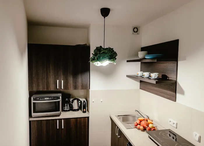 Apartamento Zelny Trh 31