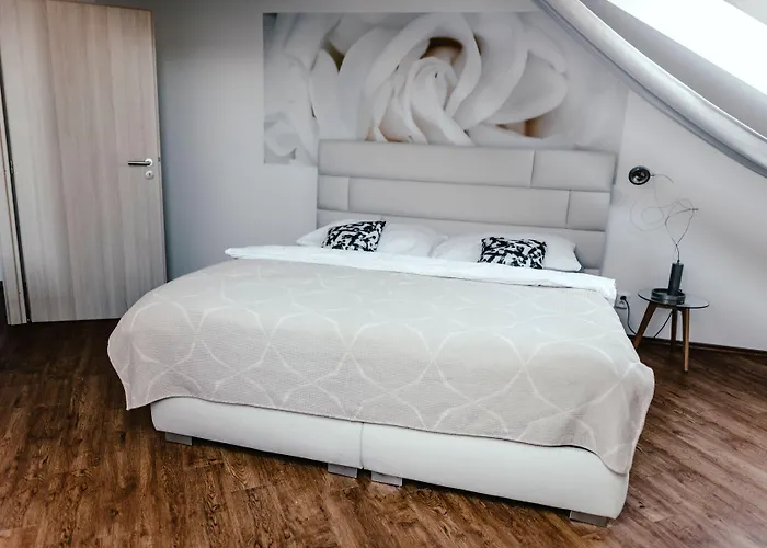 Zelny Trh 31 *